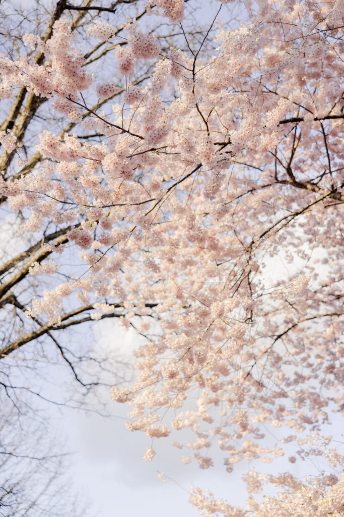 Emily in New York 2 683x1024 1