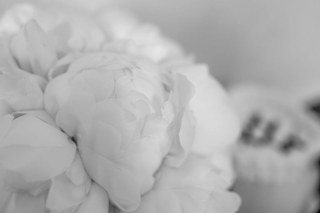 Rain Kissed Villa Balbianello Wedding 3 1024x683 1