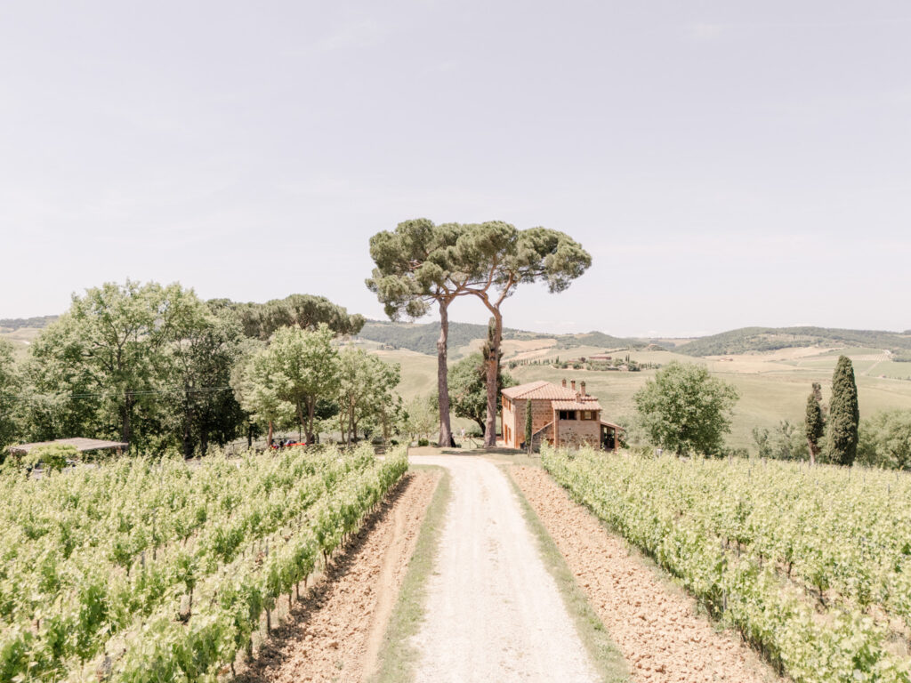 Marry me in Tuscany 29 1024x768 1